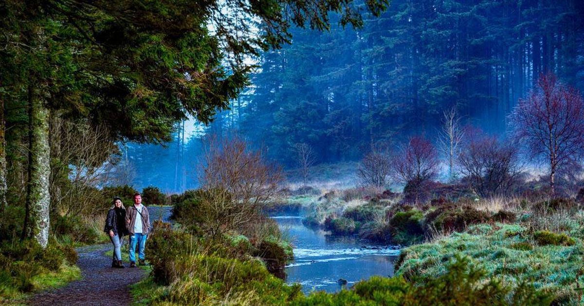 Colourful UK forest trail past stunning waterfalls named one of 'best autumn walks' - The Mirror